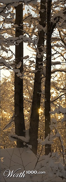 Photography by georgethedog