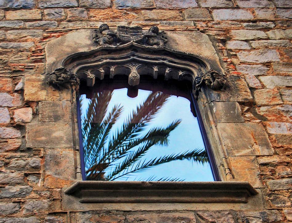 Photography by NatashaP for DesignCrowd (Community Contests) | Design #8989337