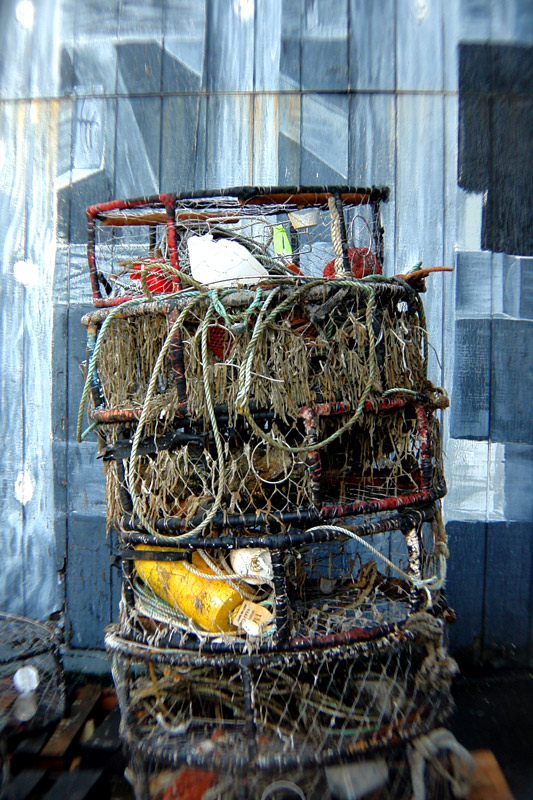 Photography by ljvgtj for DesignCrowd (Community Contests) | Design #8983742