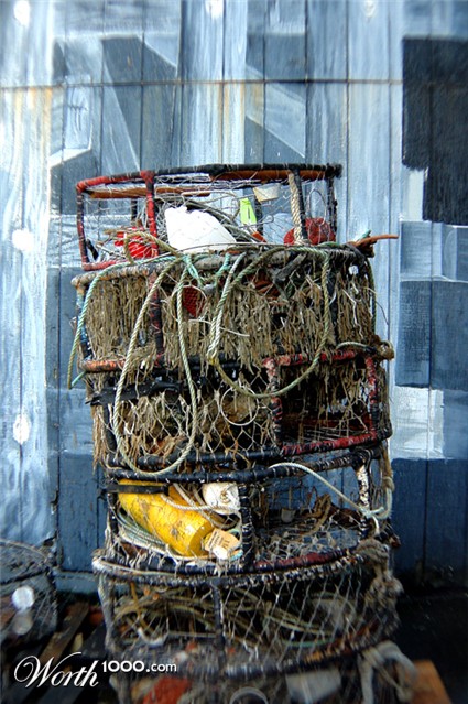 Photography by ljvgtj