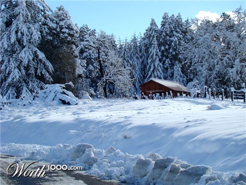 Photography by SallySmyth