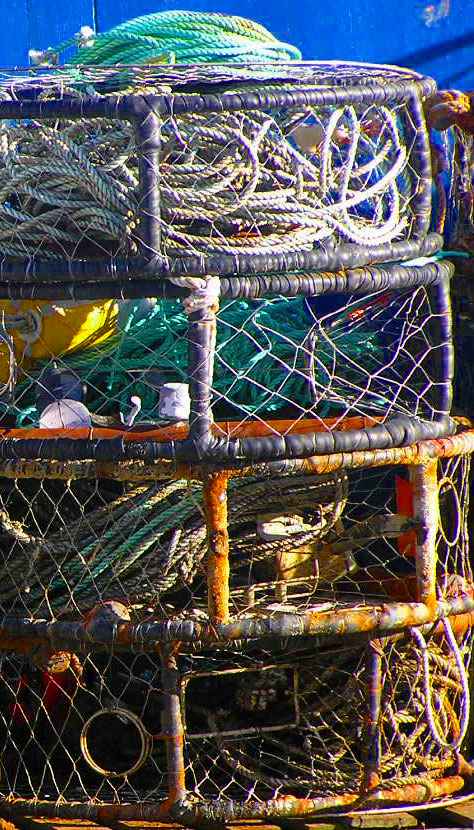 Photography by klxner for DesignCrowd (Community Contests) | Design #8983735