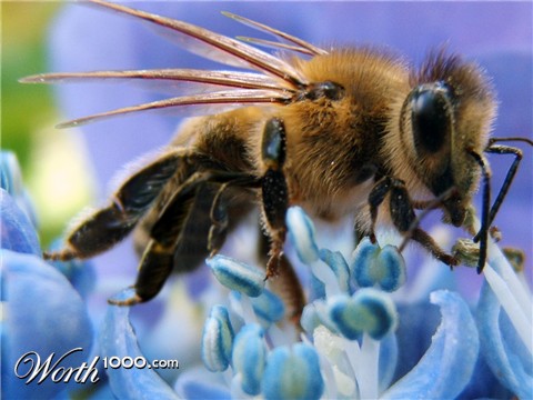 Photoshop Design by samdihm