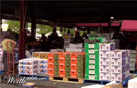 Photography by rexybaby