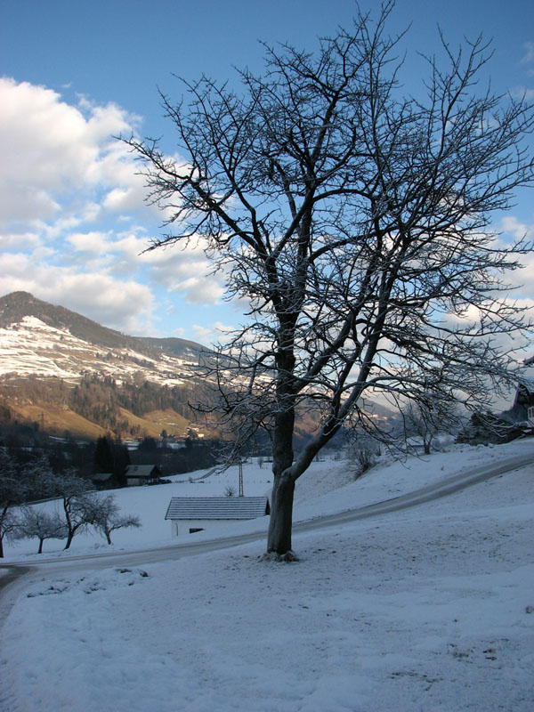 Photography by pepty for DesignCrowd (Community Contests) | Design #8984217