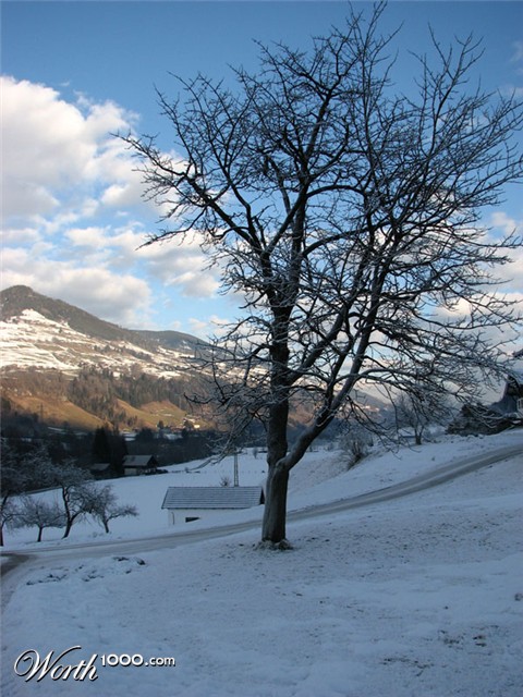 Photography by pepty