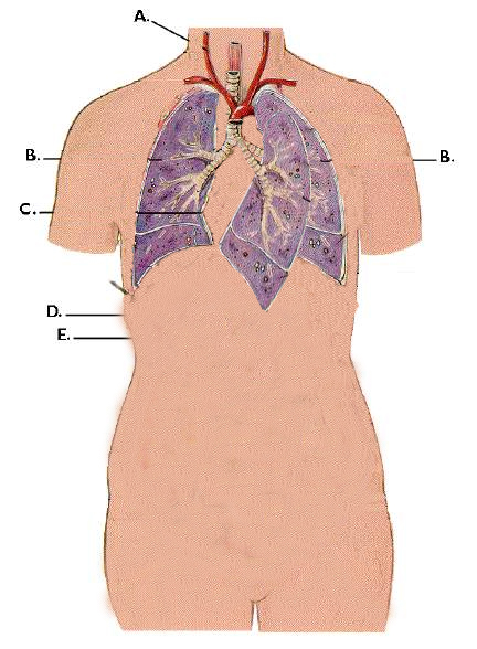 Design Photoshop par balou56 pour DesignCrowd (Community Contests) | Design #8990025