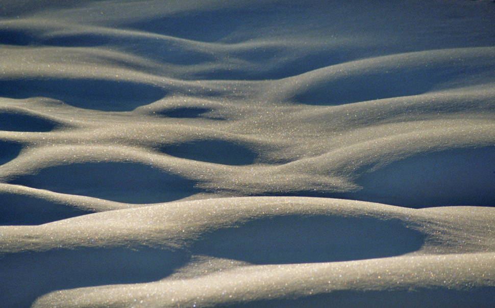 Photographie par Jujubie pour DesignCrowd (Community Contests) | Design #8984255