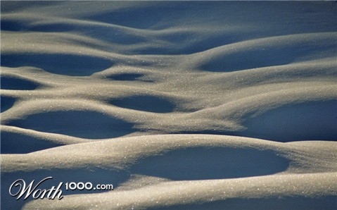 Photography by Jujubie