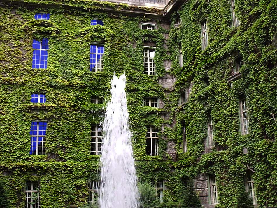 Photography by pinkfly for DesignCrowd (Community Contests) | Design #8989385