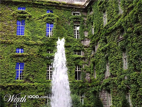 Photography by pinkfly