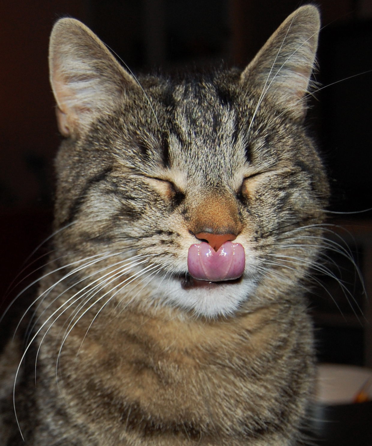 Diseño de Photoshop por Leijona para DesignCrowd (Community Contests) | Diseño #8990252