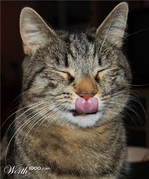 Photoshop Design by Leijona