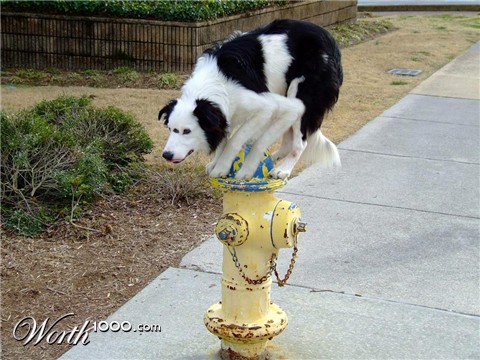 Photoshop Design by subhani