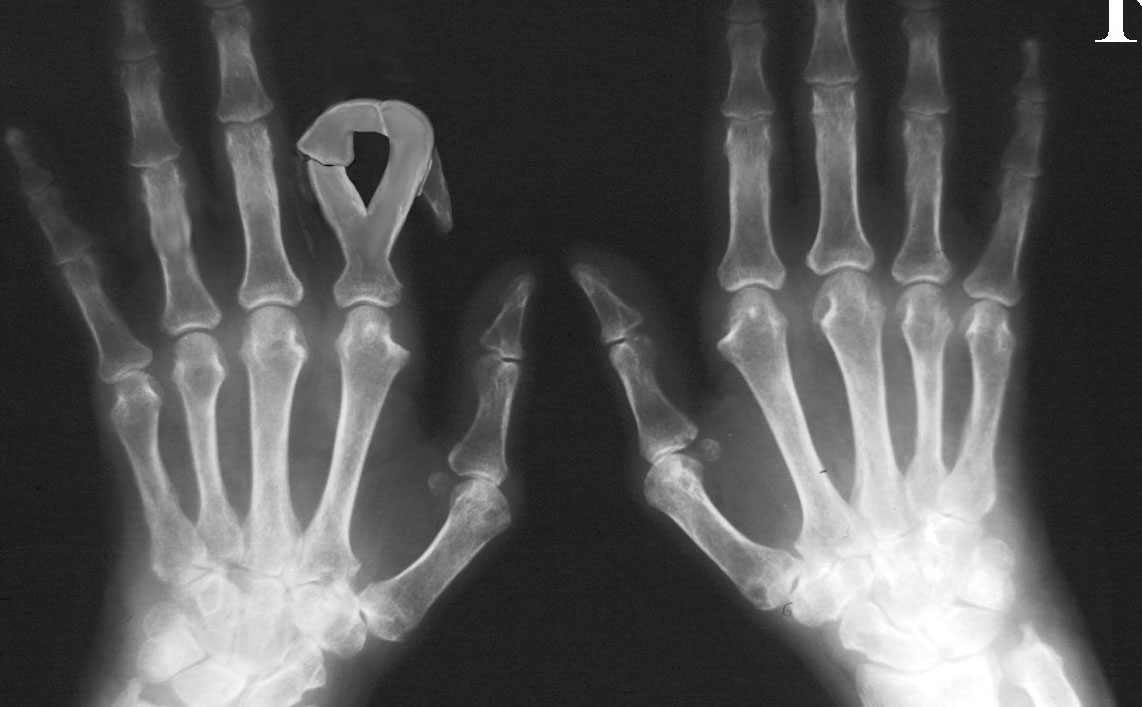 Photoshop Design by BlackPearl for DesignCrowd (Community Contests) | Design #8984623