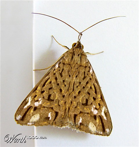 Photoshop Design by cleareyes