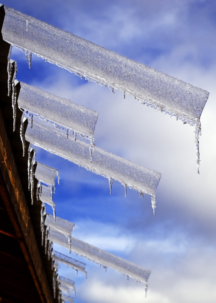 Photographie par GoldenWreckedAngle pour DesignCrowd (Community Contests) | Design #8984272