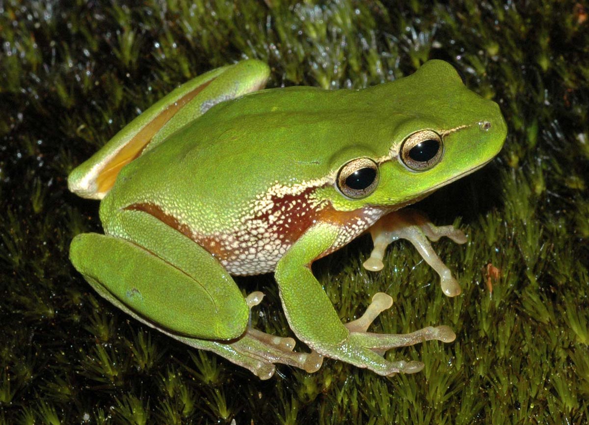 Photoshop-Design von deerreaper für DesignCrowd (Community Contests) | Design #8990130