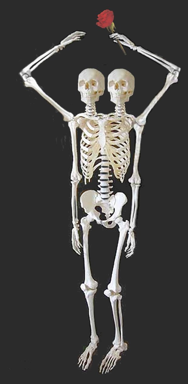 Design Photoshop par LadyHawk771 pour DesignCrowd (Community Contests) | Design #8990158