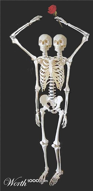 Photoshop Design by LadyHawk771