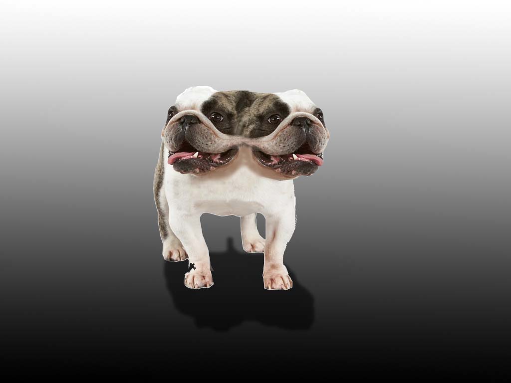 Design Photoshop par Glenal pour DesignCrowd (Community Contests) | Design #8990161