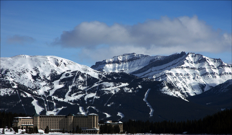 Fotografie von crattay21cuc für DesignCrowd (Community Contests) | Design #8984267