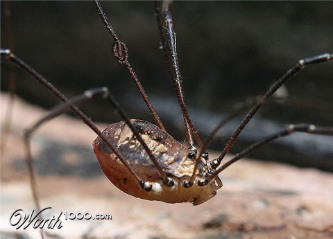 Photoshop Design by DanKeys