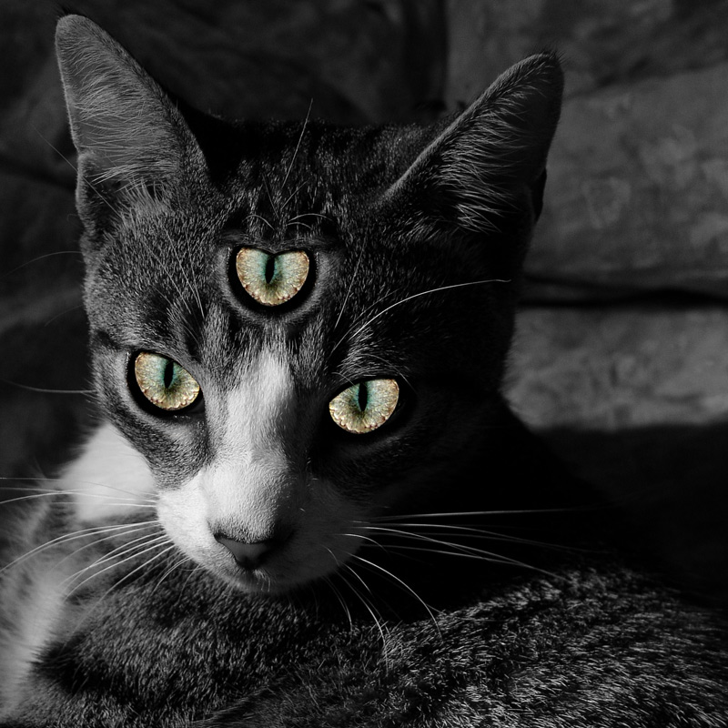 Design Photoshop par opticrambler pour DesignCrowd (Community Contests) | Design #8990179