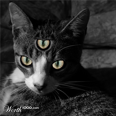 Photoshop Design by opticrambler