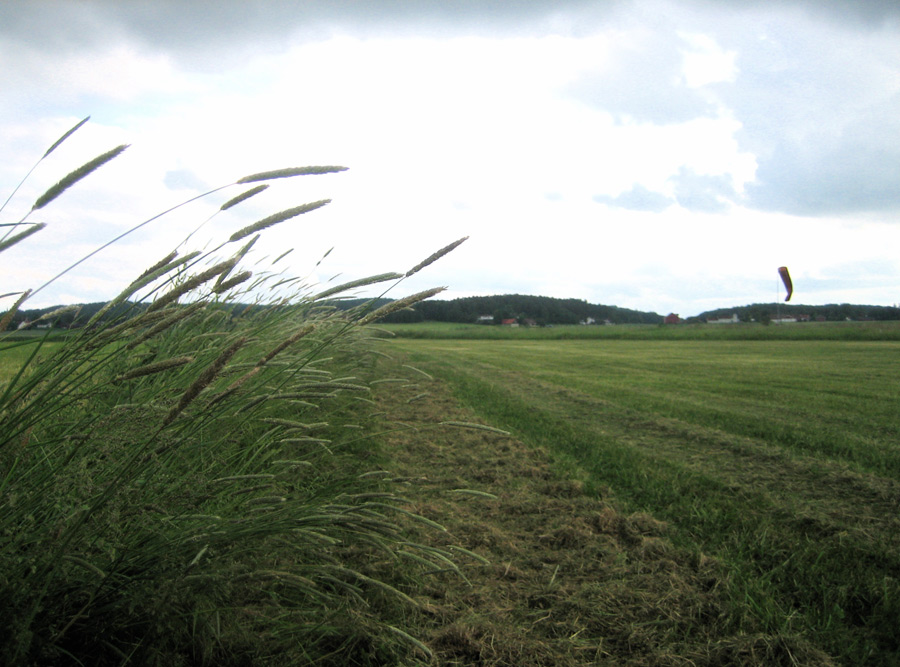 Photography by SallySmyth for DesignCrowd (Community Contests) | Design #8989287