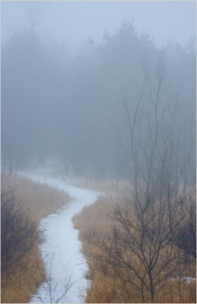 Photography by corgijump for DesignCrowd (Community Contests) | Design #8984273