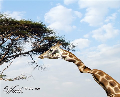 Photoshop Design by moovet