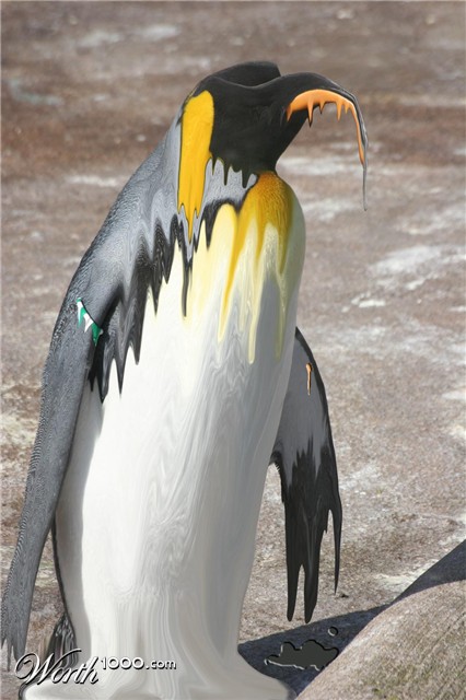 Photoshop Design by Lsgenie