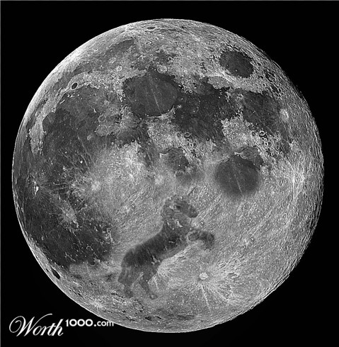 Photoshop Design by acidrain0117