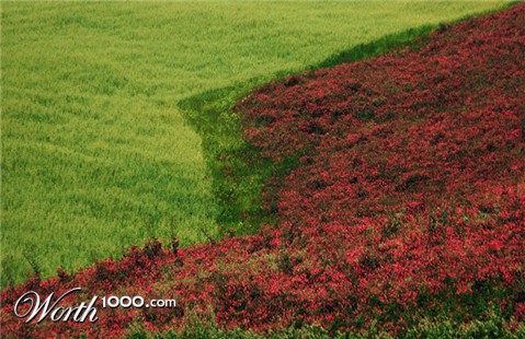 Photography by toscio