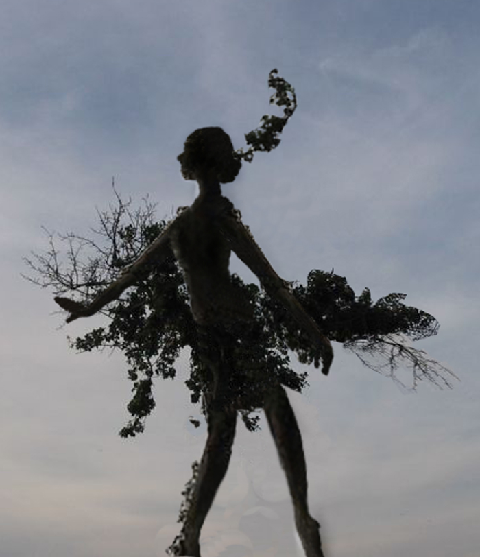 Photoshop Design by LittleLiL for DesignCrowd (Community Contests) | Design #8984556