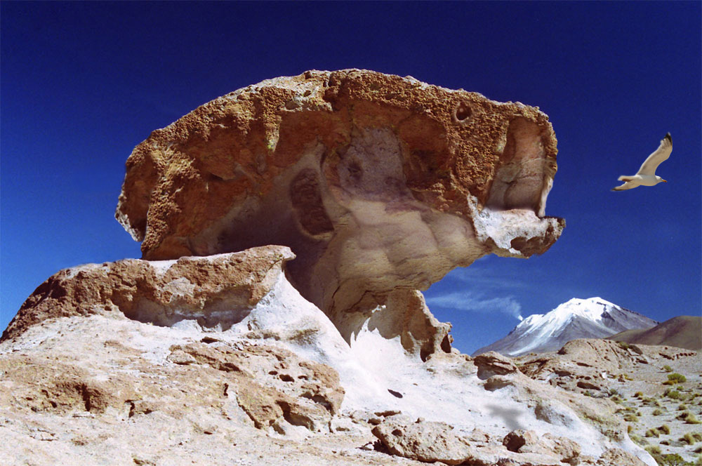 Photoshop Design by NoxCiepher for DesignCrowd (Community Contests) | Design #8984550