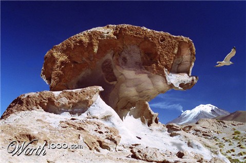 Photoshop Design by NoxCiepher