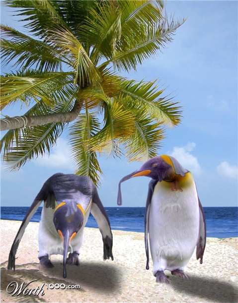 Photoshop Design by necchi