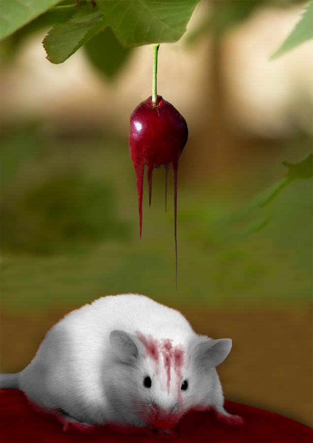 Diseño de Photoshop por Zakfuego para DesignCrowd (Community Contests) | Diseño #8989991