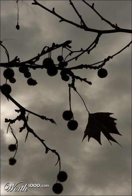 Photography by mated1976