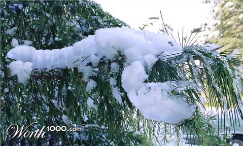 Photoshop Design by BlueHeron