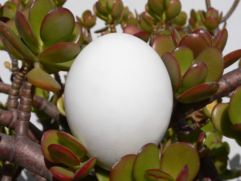 Photography by sausirhi for DesignCrowd (Community Contests) | Design #8992545