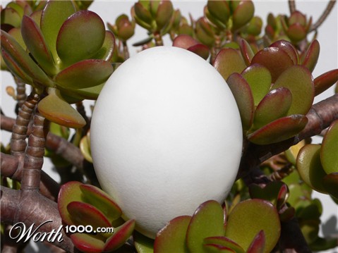 Photography by sausirhi