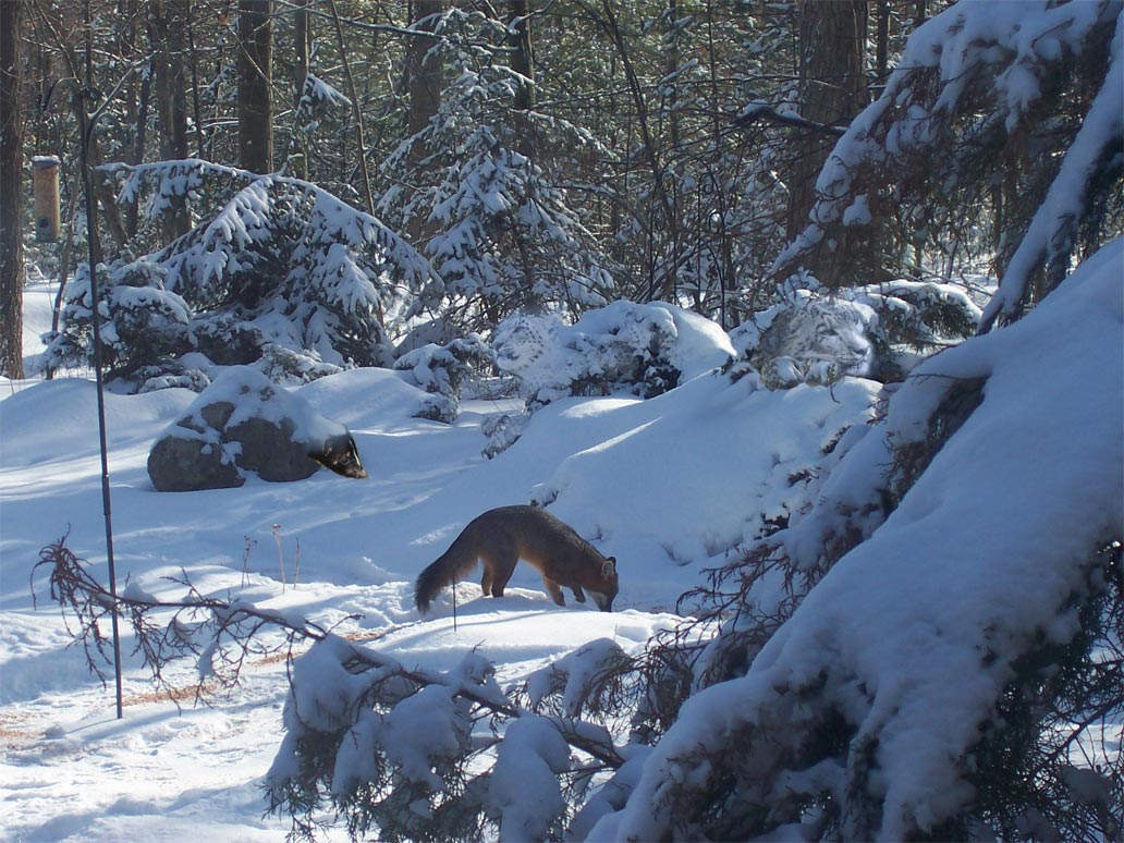 Photoshop Design by kwize53 for DesignCrowd (Community Contests) | Design #8984586