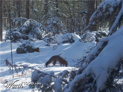 Photoshop Design by kwize53