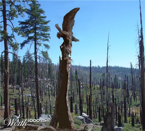 Photoshop Design by MeRamey