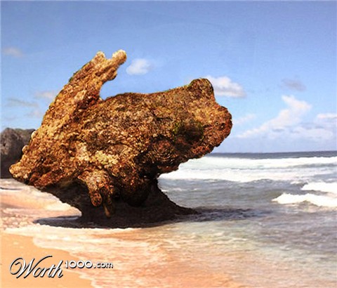 Photoshop Design by Kreative