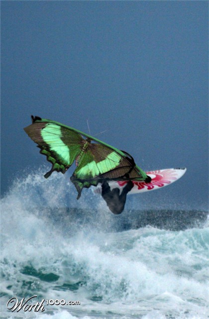 Photoshop Design by necchi