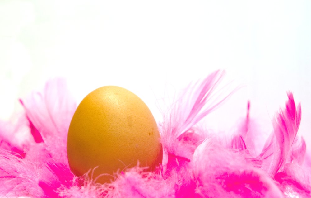 Photography by sanderleeuw for DesignCrowd (Community Contests) | Design #8992554